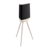Lyngdorf Cue-100 (Zwart)