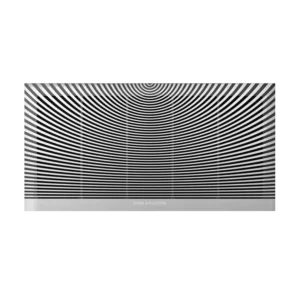 Bang & Olufsen Palatial Advanced Grille LCR66 (Aluminium)