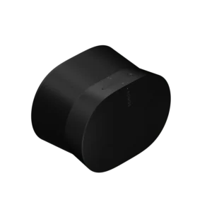 Sonos Era 300 (Zwart)