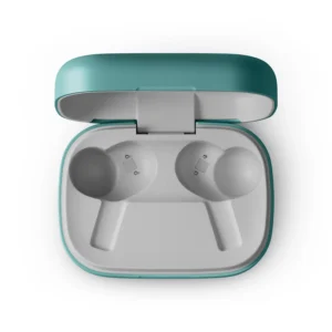 Bang and Olufsen Beoplay Eleven