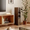 DALI SONIK 7 + Argon Audio SA2