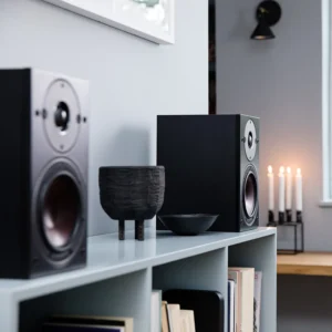 Denon Home Amp + DALI OBERON 1