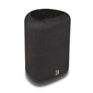 Bluesound PULSE FLEX (P130) (Zwart)
