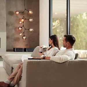MARANTZ AMP 10 16-Kanaals Eindversterker