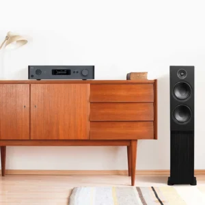 NAD C 379 + MDC2 BluOS-D